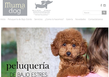 Páginas web de peluquería canina en Vitoria - CERAMBYX